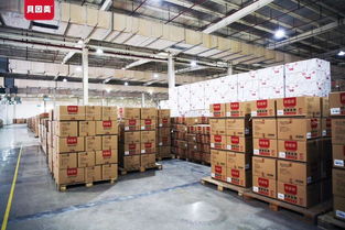 貝因美Hello Kitty紙尿褲代理指南與產品解析